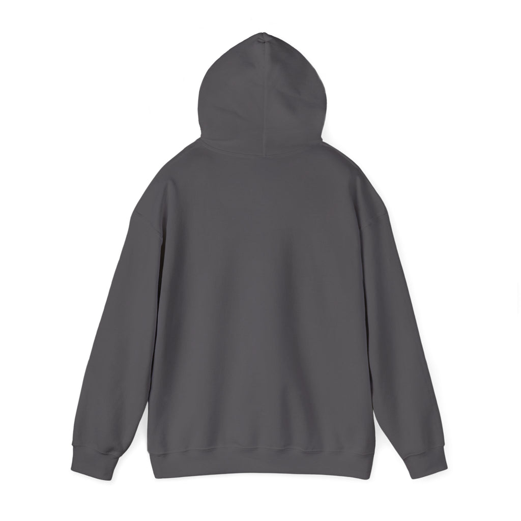 Dog and Cat Under One Umbrella Graphic Pullover Hoodie | Gildan Charcoal