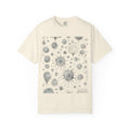 Radiolaria, Plate 71 Tee - Ivory