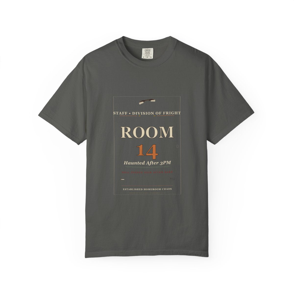 Room 14 Haunted After 3PM Tee flat front in Pepper